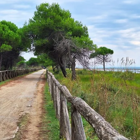 Your In An Amazing * Bibione