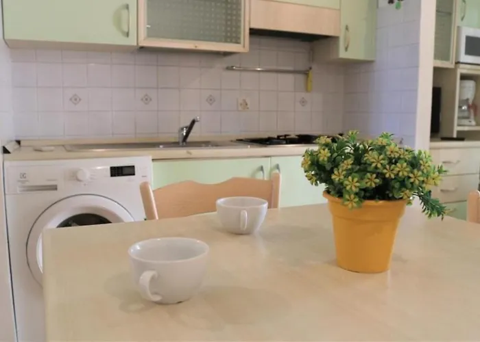 Your In An Amazing Apartment